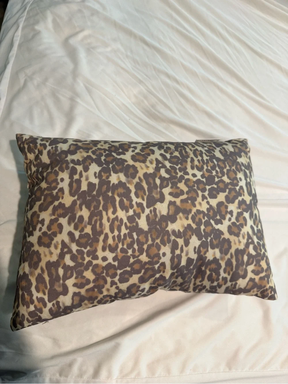 Pottery Barn Leopard Print Throw Pillow